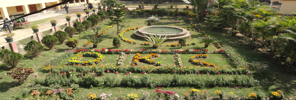 SP439174_4.jpg